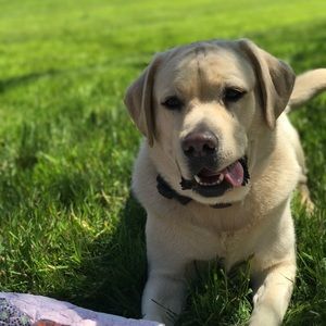 Meet your Posher, Kennedy